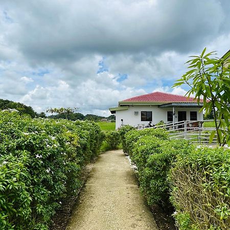 Jazz Ferme Inn Batuan Bohol エクステリア 写真