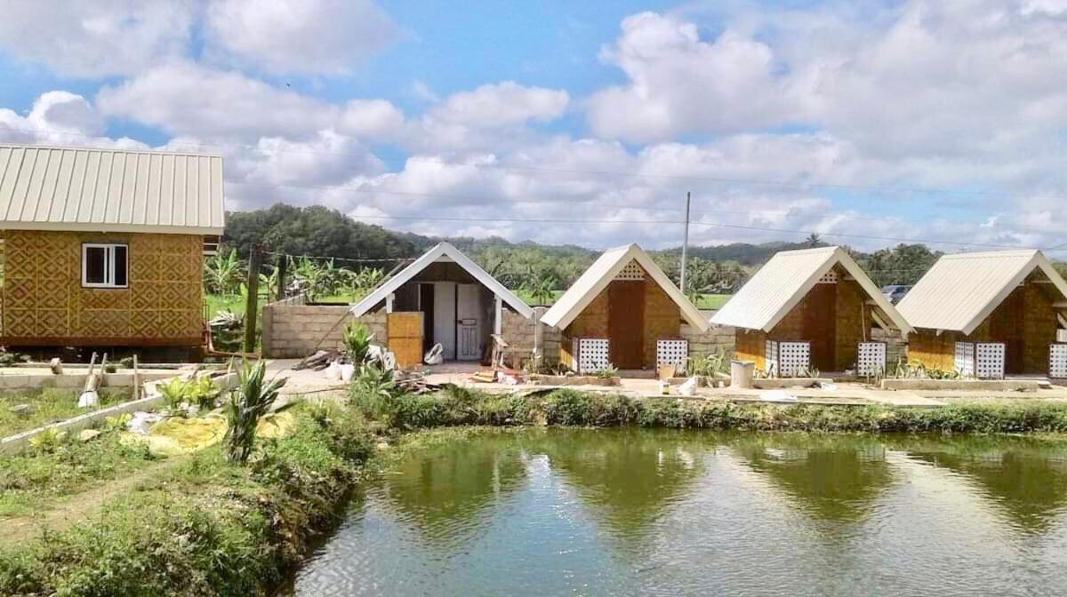 Jazz Ferme Inn Batuan Bohol エクステリア 写真