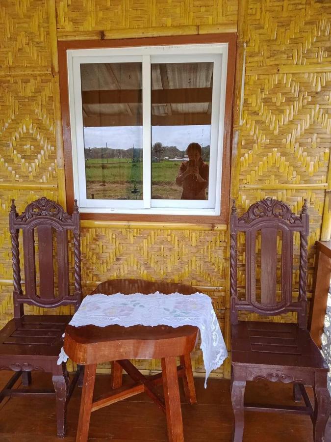 Jazz Ferme Inn Batuan Bohol エクステリア 写真