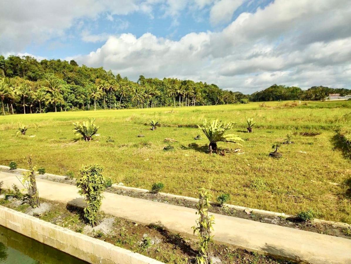 Jazz Ferme Inn Batuan Bohol エクステリア 写真