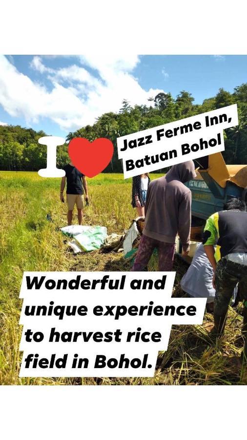 Jazz Ferme Inn Batuan Bohol エクステリア 写真