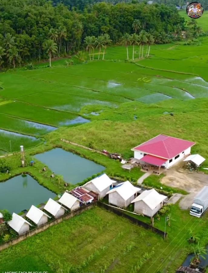Jazz Ferme Inn Batuan Bohol エクステリア 写真