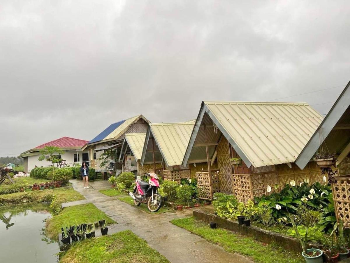 Jazz Ferme Inn Batuan Bohol エクステリア 写真