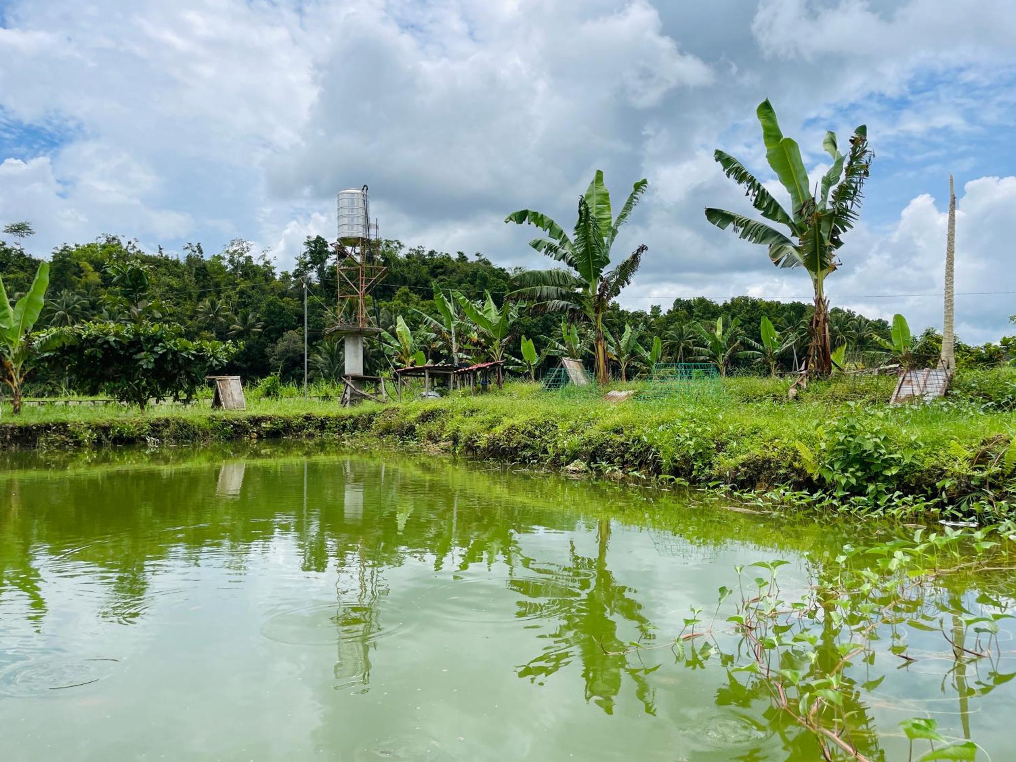 Jazz Ferme Inn Batuan Bohol エクステリア 写真