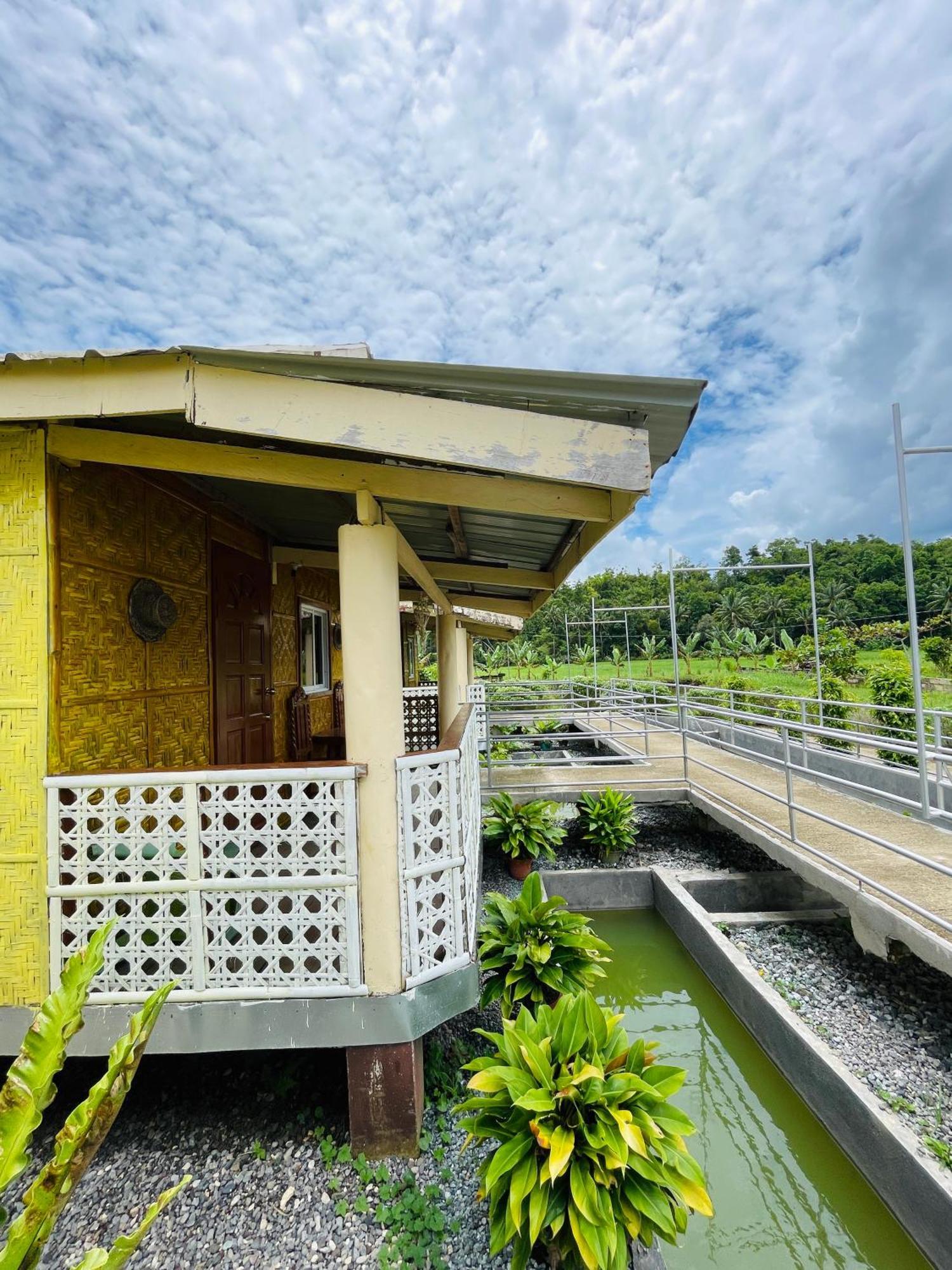 Jazz Ferme Inn Batuan Bohol エクステリア 写真