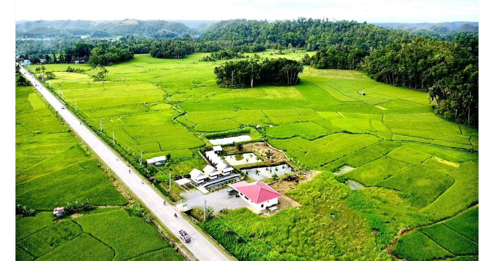 Jazz Ferme Inn Batuan Bohol エクステリア 写真