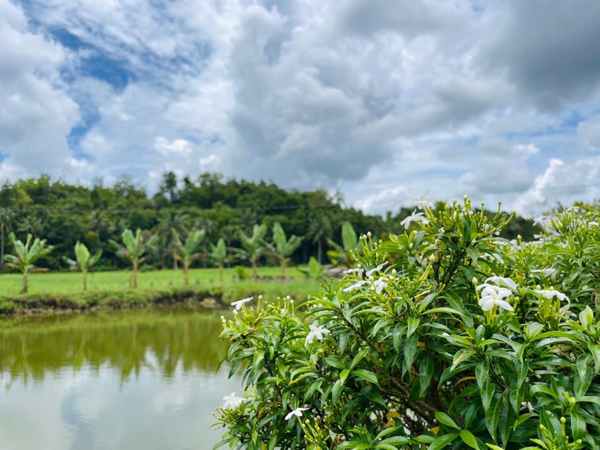 Jazz Ferme Inn Batuan Bohol エクステリア 写真