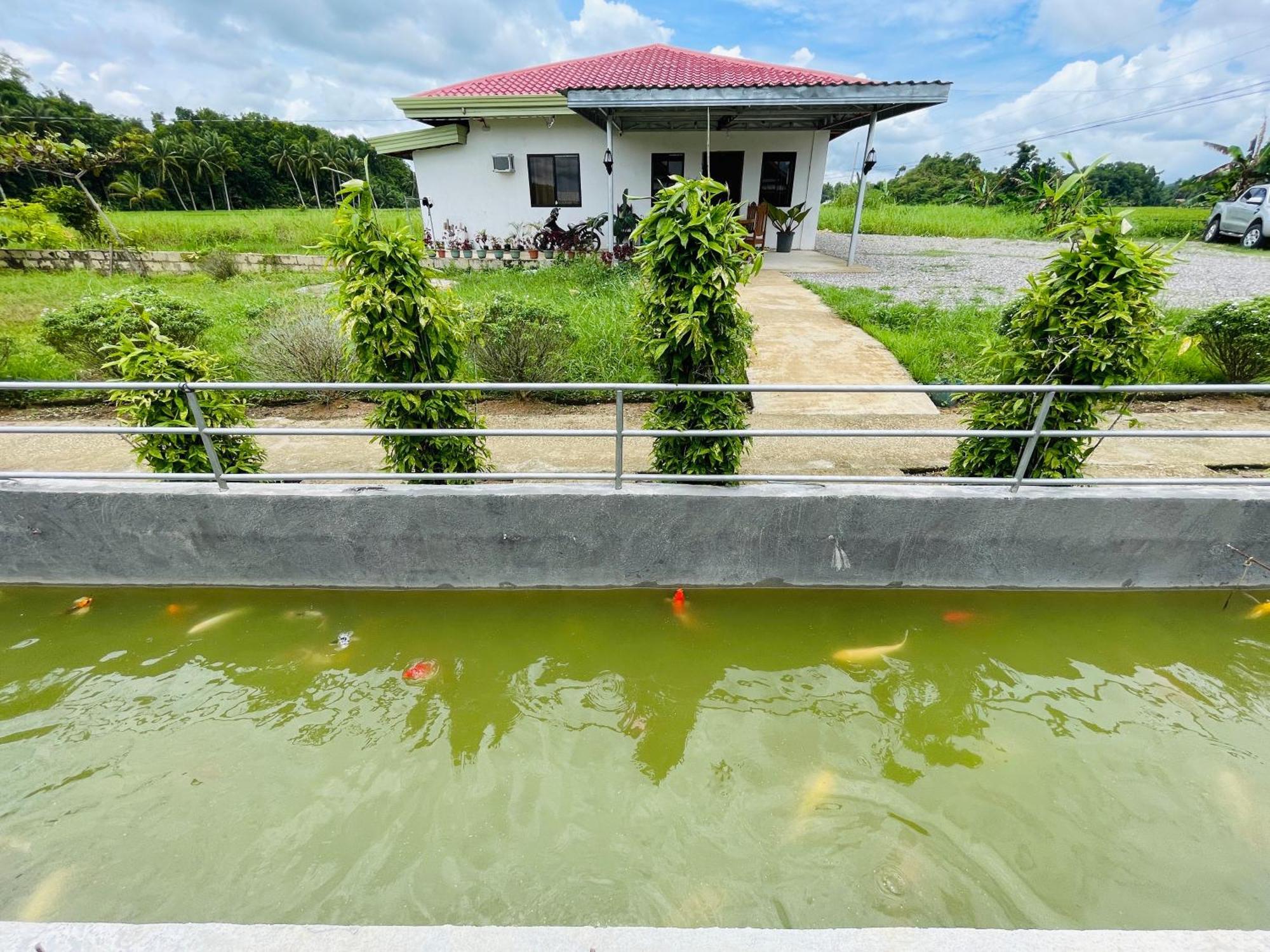 Jazz Ferme Inn Batuan Bohol エクステリア 写真