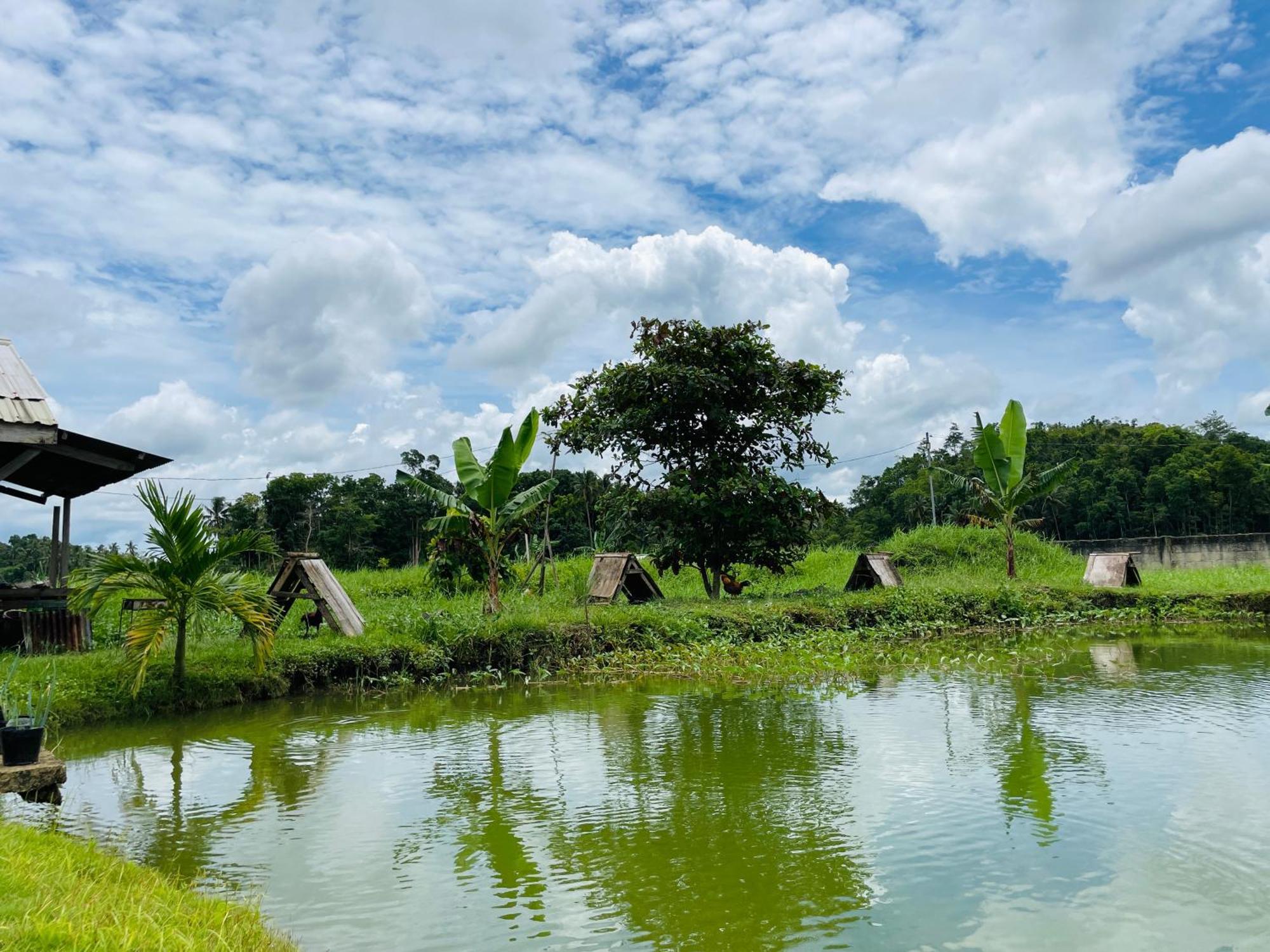 Jazz Ferme Inn Batuan Bohol エクステリア 写真