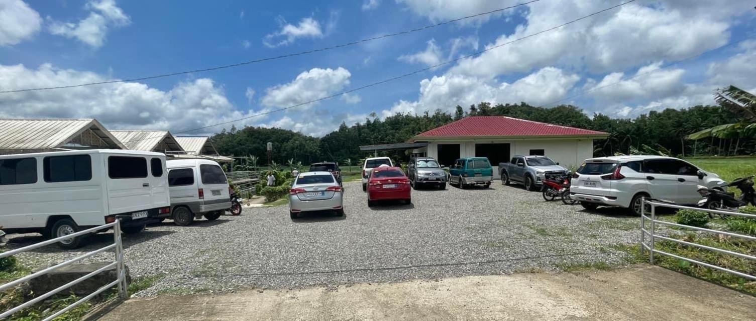 Jazz Ferme Inn Batuan Bohol エクステリア 写真