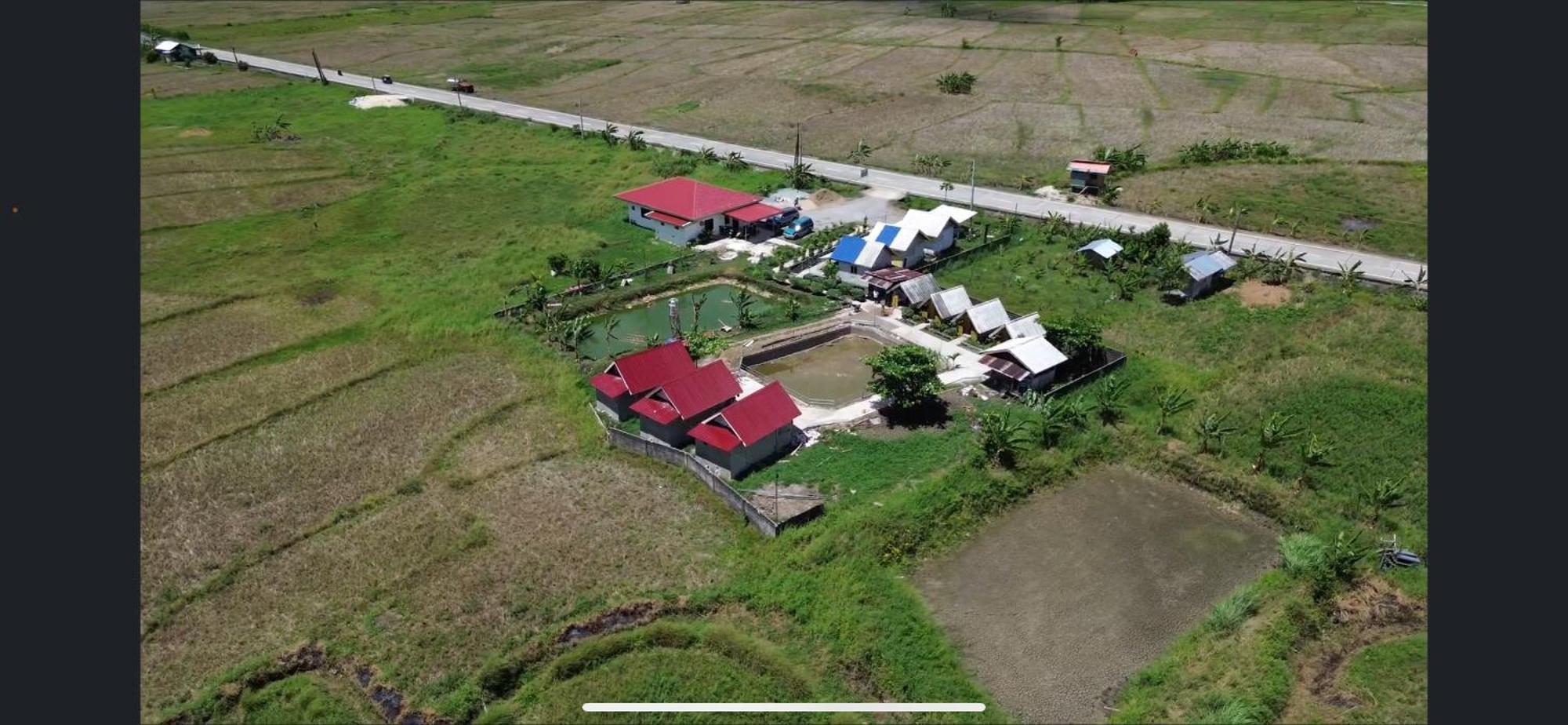 Jazz Ferme Inn Batuan Bohol エクステリア 写真